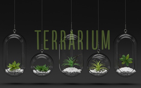 Đem thiên nhiên vào hộp Terrarium