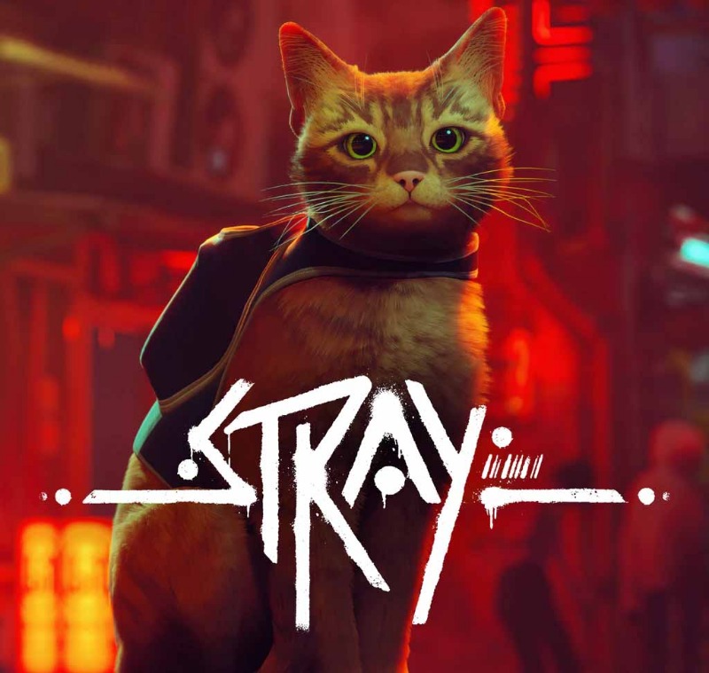 Stray - Chú mèo trong thế giới hậu tận thế
