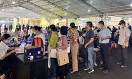Bị hại vụ Alibaba phơi bày sự thật bị dắt vào... rừng!