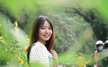 Ảnh: Rủ nhau lên núi ngắm hoa dã quỳ nở rộ, rời xa khói bụi về miền an yên